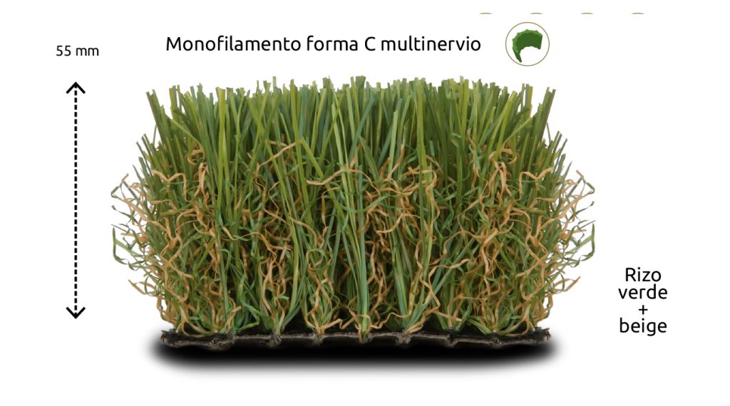 AMAZONAS-55 espacesped