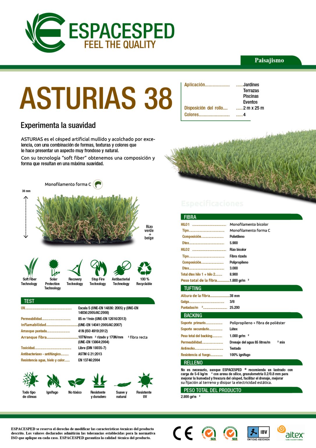 ficha-tecnica-38-asturias38